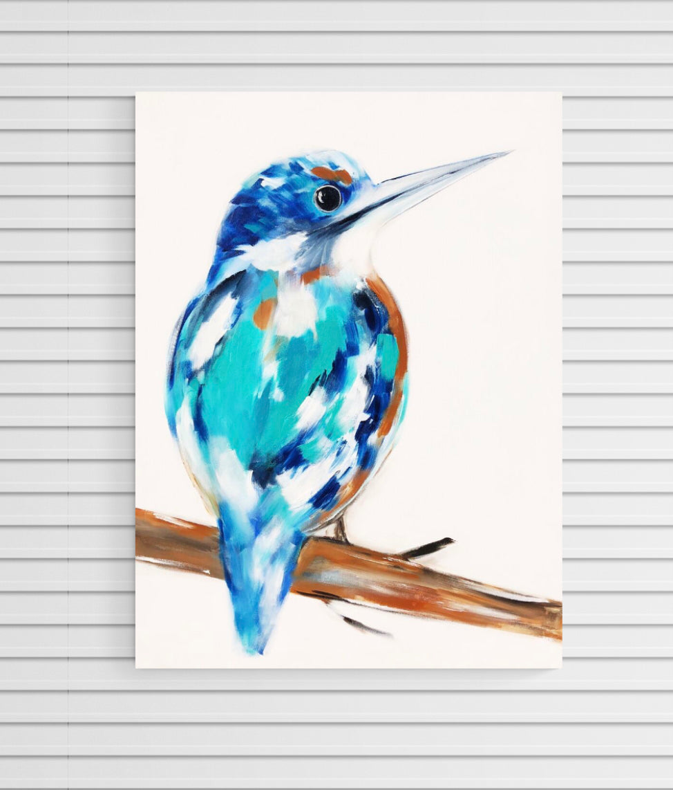 Birds - Kingfisher beauty