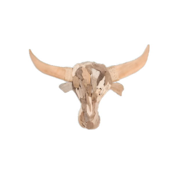 Homewares - Driftwood Bulls Head