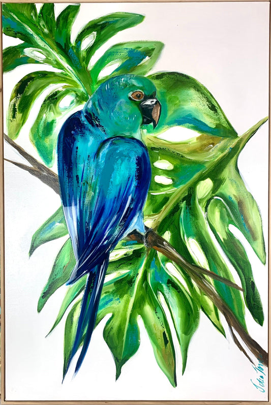 Birds - Blue Beauty - Julia Jones Art