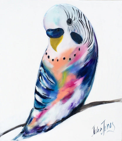 Birds - My budgie - Julia Jones Art